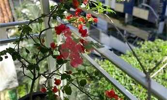 Imagem 6: Excelente 4/4, 1 suite. nascente. 1 vaga garagem