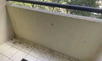 Imagem 2: Apartamento Bonfliglioli - 2 dorms