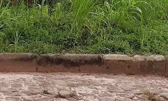 Imagem 2: Vende-se um terreno todo murado so no ponto de construir