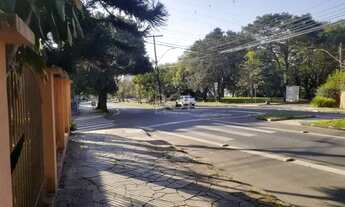 Imagem 4: Terreno para Venda - 0m², 0 dormitórios, Vila Ipiranga