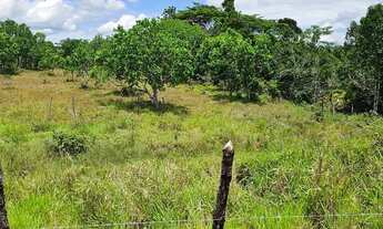 Imagem 4: Vendo sítio em Nazaré das farinha