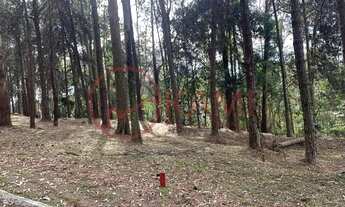 Imagem: Venda, lindo terreno, Aldeia da Serra