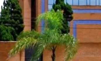 Imagem: Vende ou Aluga Prédio de Esquina na Avenida