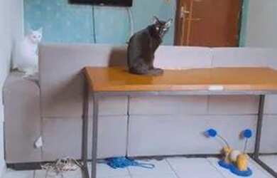 Imagem 2: Aluguel de quartos para Mulheres no turu