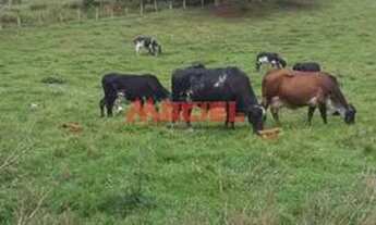 Imagem 4: Rural fazenda, sítio e chácara em Paraibuna