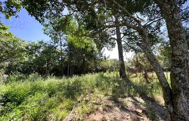 Imagem 3: Vendo um Sítio unico e exclusivo com vista panorâmica Morungava