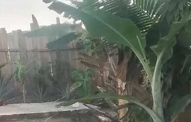 Imagem 7: Casa Casa com 2 dormitórios