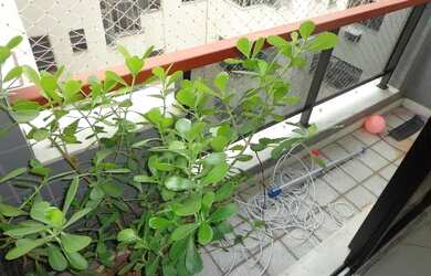 Imagem 3: Apartamento com 3 quartos na Tijuca - Rio de Janeiro - RJ