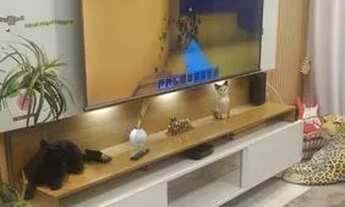 Imagem 2: Sobrado para Venda em São Bernardo do Campo, Santa Terezinha, 3 dormitórios, 1 suíte, 2 ba