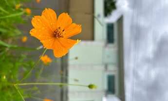 Imagem 2: Sobrado Anápolis City Sul com 4 suítes, piscina fria e muito mais