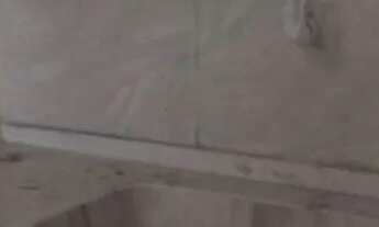 Imagem 5: Alugo barracão no jd caravelas