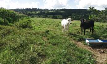 Imagem: 5 alqueires no município de Anicuns-GO