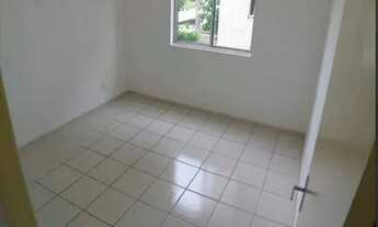 Imagem 3: ALPHA CLASS / ARUANA