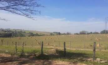 Imagem 3: Terreno 1mil metros