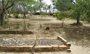 Imagem 7: Chácara Chácara com venda por R$400.000