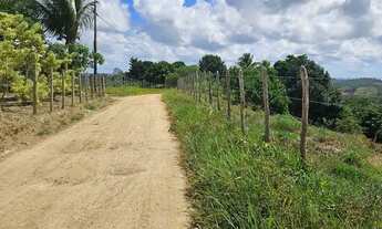Imagem 3: Sítio com casa simples em área rural