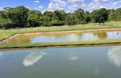 Imagem 2: Chácara a venda em Heitorai - Goiás!!!