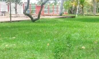 Imagem 5: Vendo lindo sítio em retiro do congo