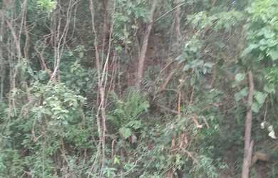 Imagem 4: Vende-se terreno 15x25