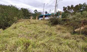 Imagem 3: TERRENO 3000m2 GRANJEAMENTO DIAS TAVARES COM ENERGIA ELÉTRICA E ILUMINAÇÃO PÚBLICA ÔNIBUS