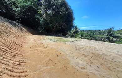 Imagem 4: Chácara à Venda na Barra de São Miguel próximo ao Chácaras da Barra Alagoas