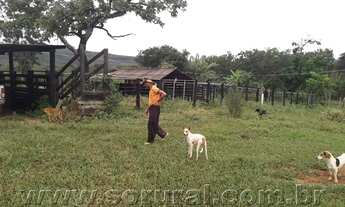 Imagem 4: Fazenda à venda com 3 quartos - rural, Lassance, MG