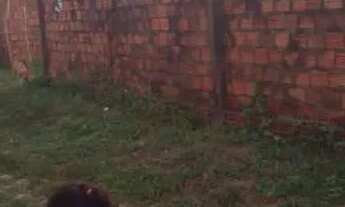 Imagem 2: Terreno Casa com 1 dormitório