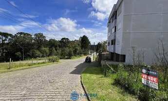 Imagem 3: No Villa Alpina terreno com 420m² Caxias do Sul