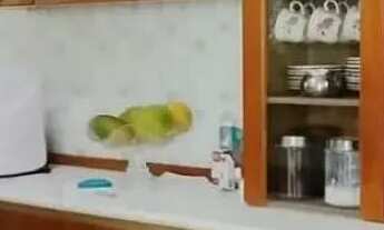 Imagem 7: Excelente casa 03 qtos 04 vgs de garagem em Centro - Nilópolis - RJ