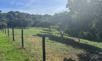 Imagem 3: VENDO/TROCO CHÁCARA 1200m2 EM MORRINHOS/GUARAPARI