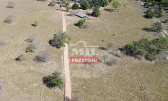 Imagem 4: Fazenda 17.3 Alqueires (83,72 Hectares ) Cezarina - Go