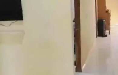 Imagem 6: IS06 - casa a venda na liberdade