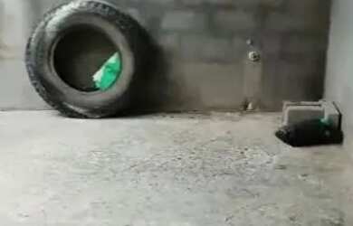 Imagem 6: Alugo casa de 2/4!