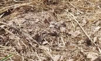 Imagem 5: Lote com 400 metros, linda vista