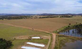 Imagem 5: Fazenda 67 alqueires - Lavoura!