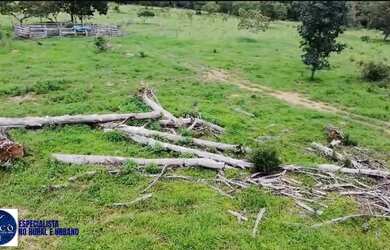 Imagem 7: Chácara Escriturada 6 Alqueires com Água e Curral Pirenópolis-GO