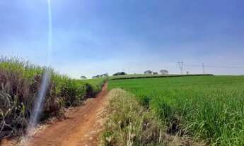 Imagem 5: Terreno para venda com 96800m² em Cravinhos