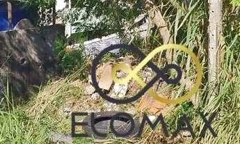 Imagem 11: Terreno à venda, 250 m² por R$ 415.000 - Vila Itapoan - Guarulhos/SP