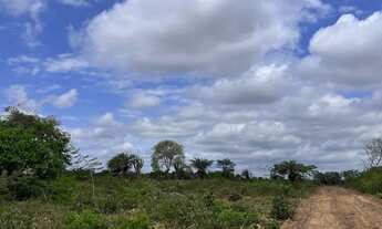 Imagem 3: Vendo terrenos em São José, Feira de Santana