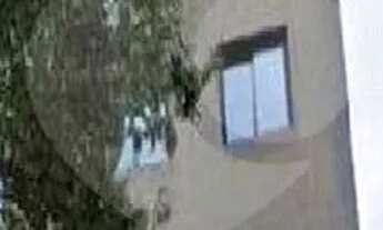 Imagem 2: Salas para locação em Santana - SP