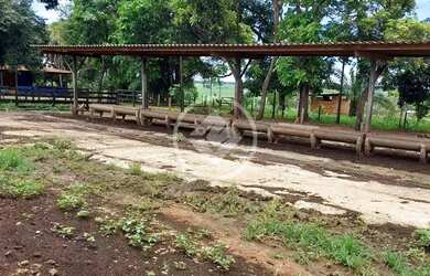 Imagem 4: Trindade - Fazenda de 46 Hectares codigo: 136802