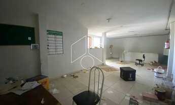 Imagem 6: Comercial GalpãoBarracão em Marília