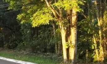 Imagem 3: Lote/Terreno para venda possui 1350 metros quadrados em Altos de São Fernando - Jandira