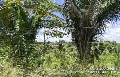 Imagem 4: São Luiz/MA - Terreno com 230.400,00 m²