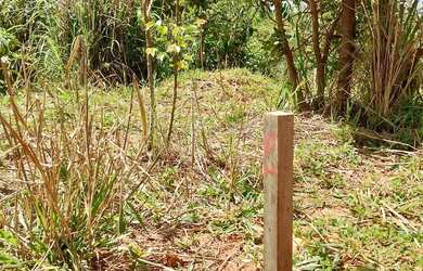 Imagem 6: Fazendinhas com 20.000m2 Financiadas às Margens da Rodovia 040 em Paraopeba MG