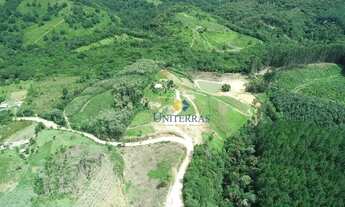 Imagem 6: Chácara com 1 dormitório à venda, 20566 m² por R$ 220.000,00 - Macaco - Bocaiúva do Sul/PR