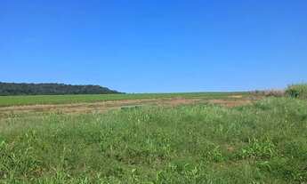 Imagem 6: FAZENDA DE CULTURA C/ PIVÔS EM MORRINHOS 71,5 ALQUERES - Morrinhos - GO