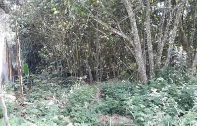 Imagem 3: Lote em condomínio em Rua Doutor Altair Martins - Granja Viana - Cotia/SP