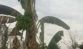 Imagem: Agil de chacara