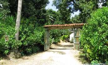 Imagem 7: AREA - LARANJA AZEDA - SP